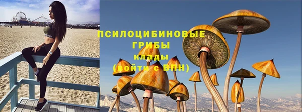 Альфа ПВП Козловка