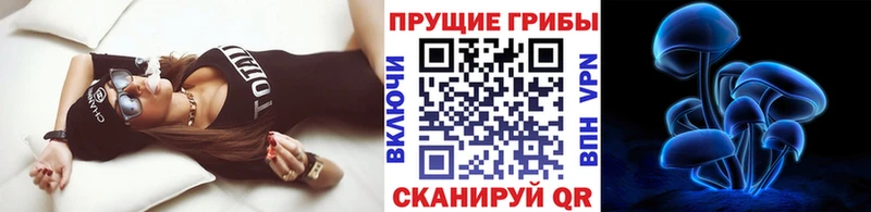 Галлюциногенные грибы Cubensis  Ядрин 