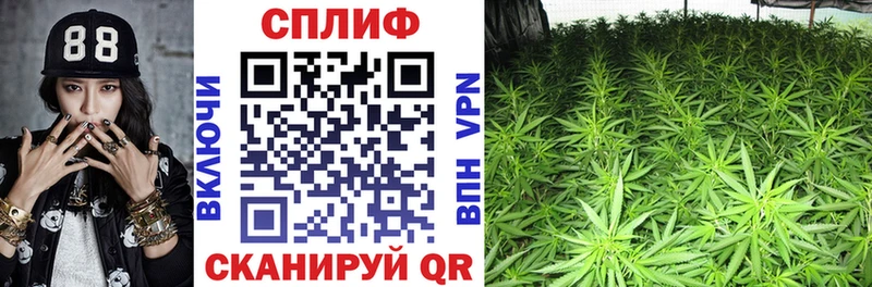 наркошоп  mega ссылки  Каннабис Amnesia  Ядрин 
